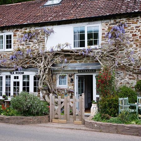 The Bark House Oakford Exterior photo