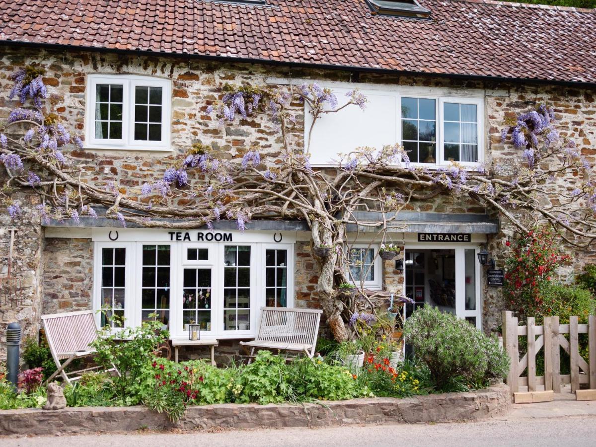 The Bark House Oakford Exterior photo