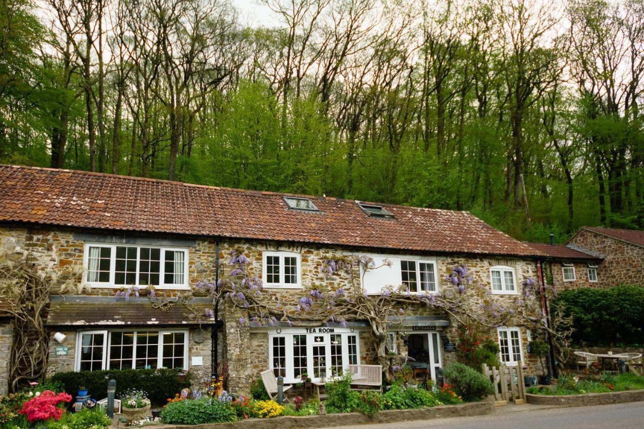 The Bark House Oakford Exterior photo